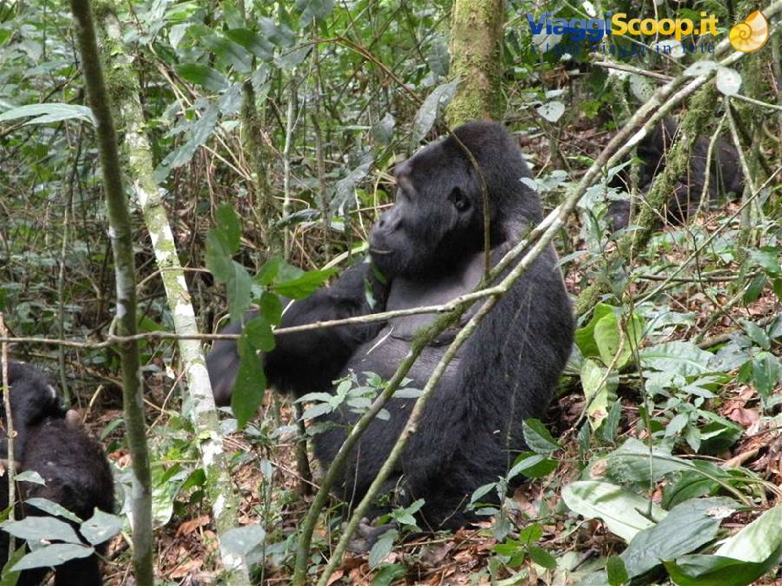 Foto di viaggio in UGANDA