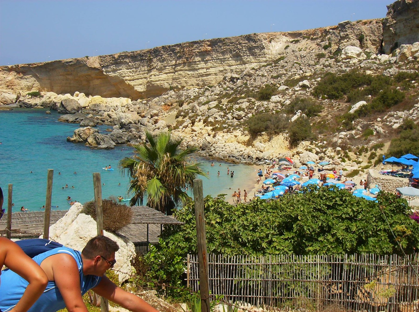 Paradaise Bay