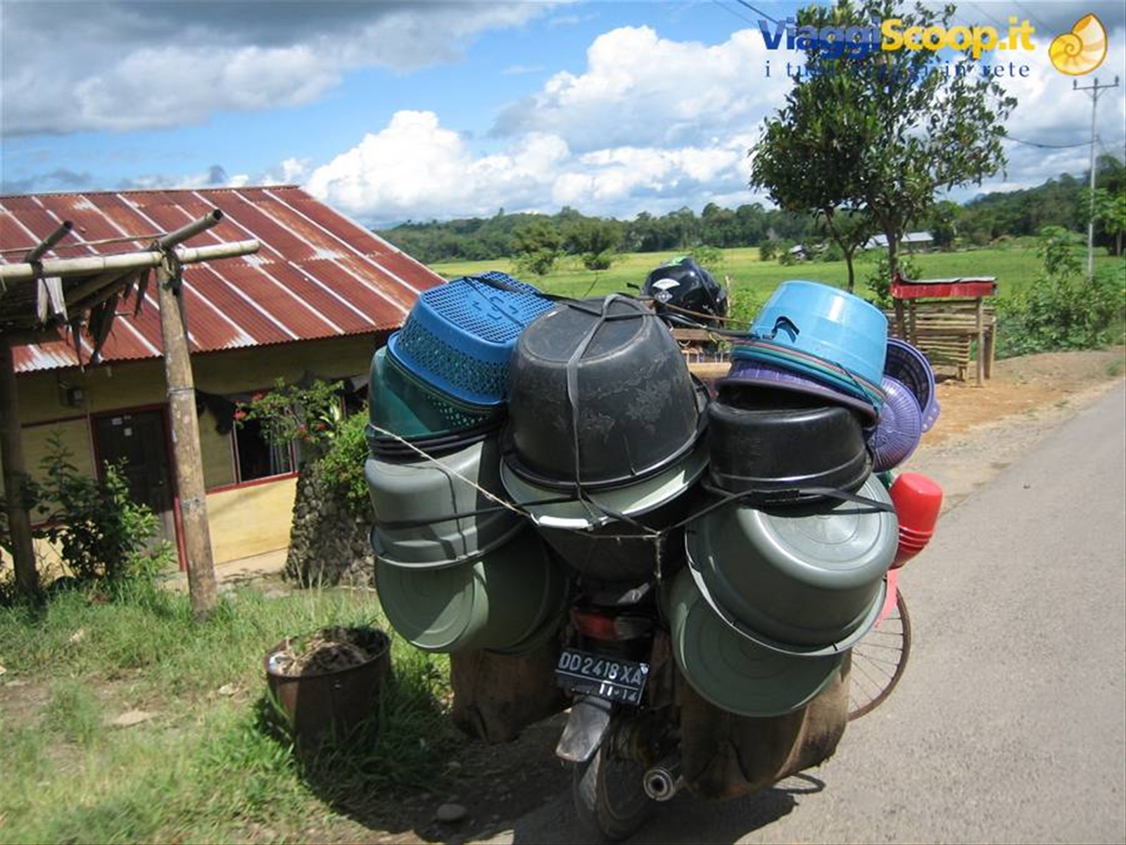 Motorino Indonasiano