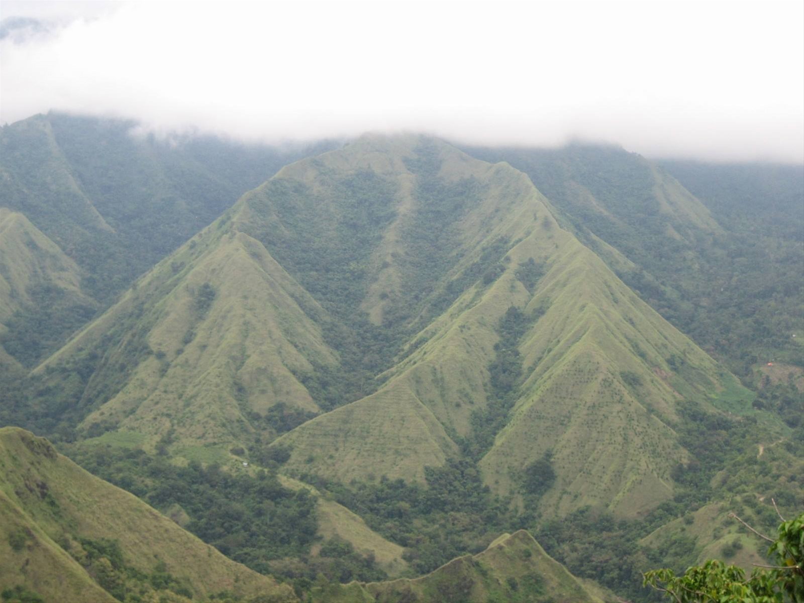 Monti erotici Sulawesi