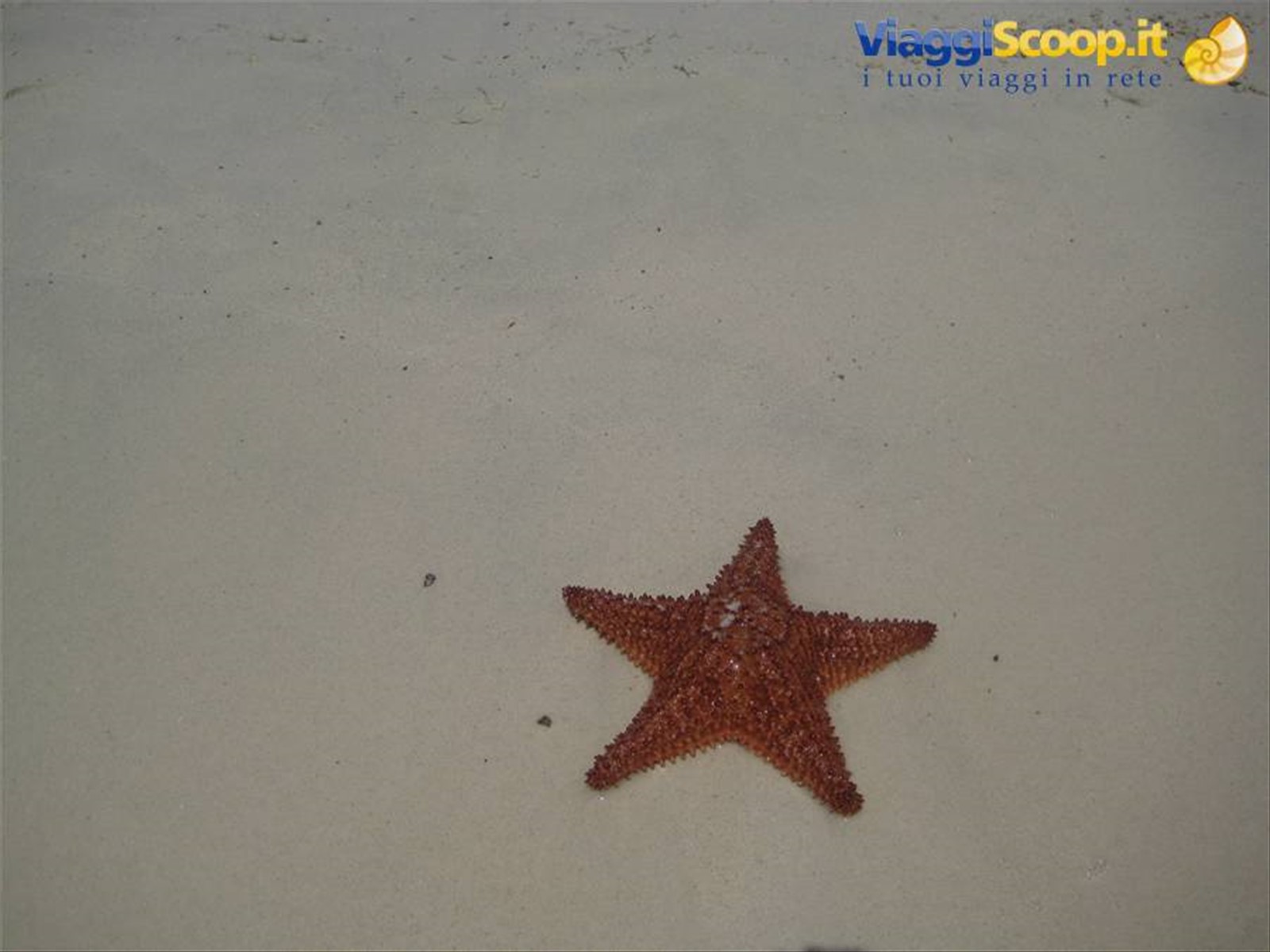 Foto di viaggio in ARUBA