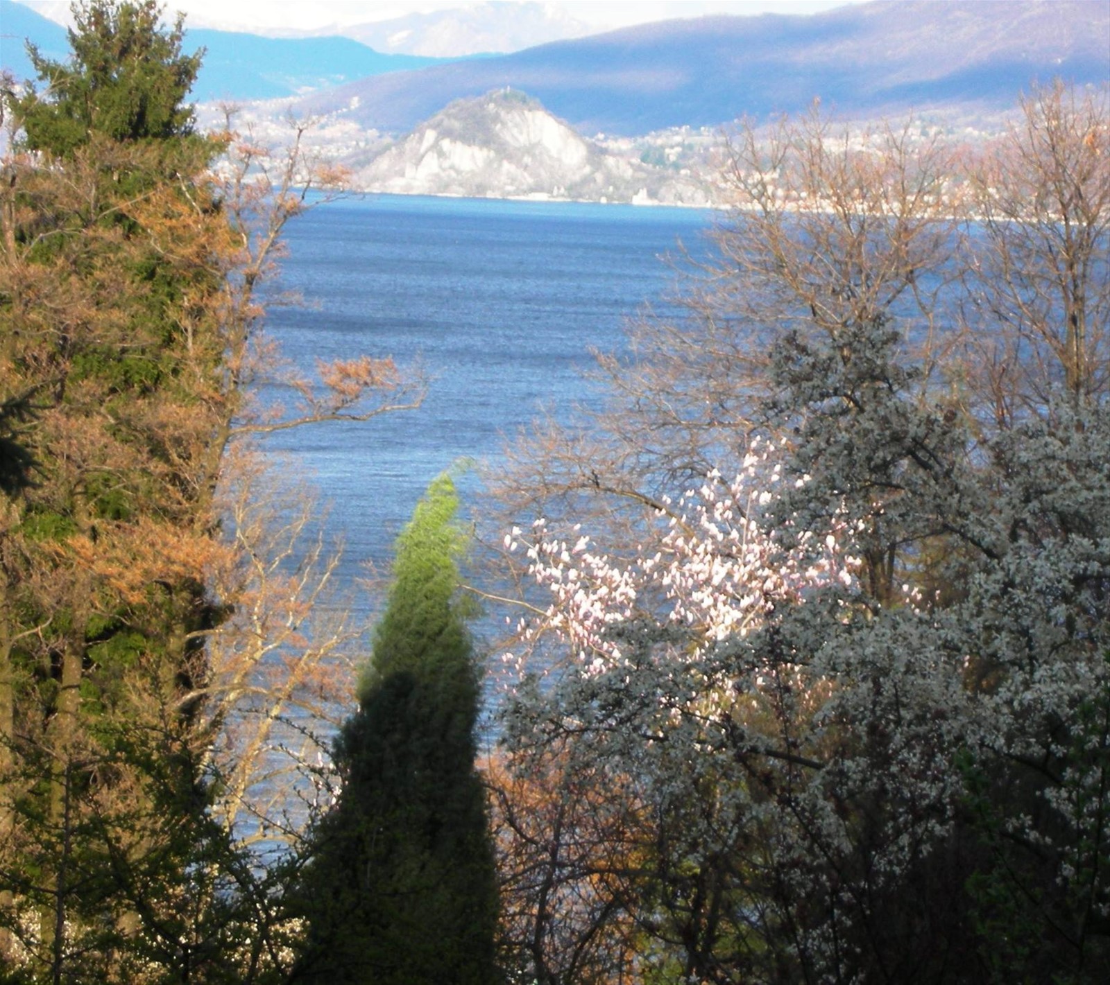 veduta lago maggiore dal giardino