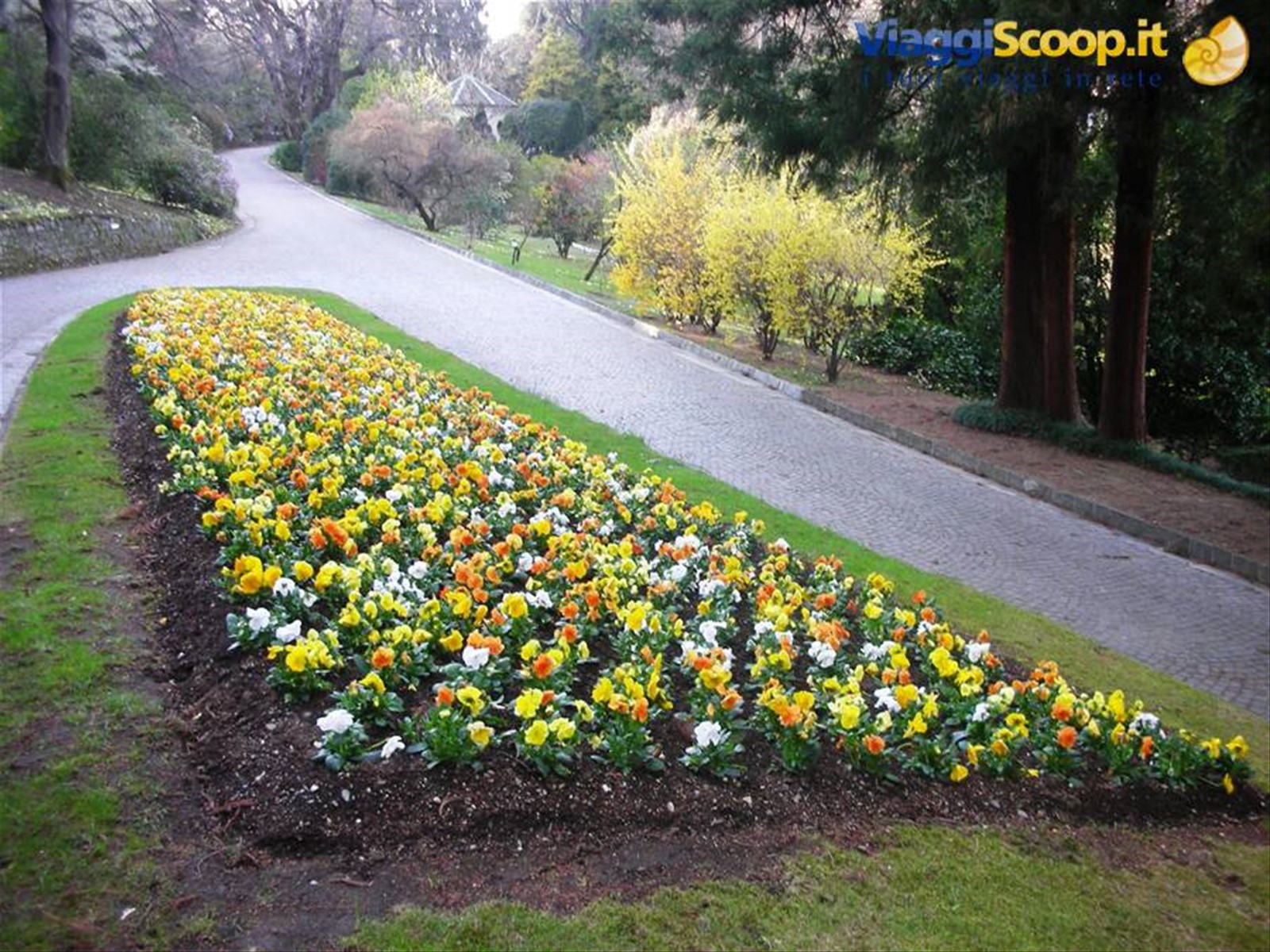 aiuole curatissime e colorate di fiori