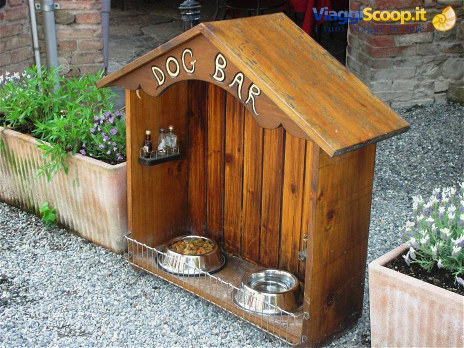 bar per cani