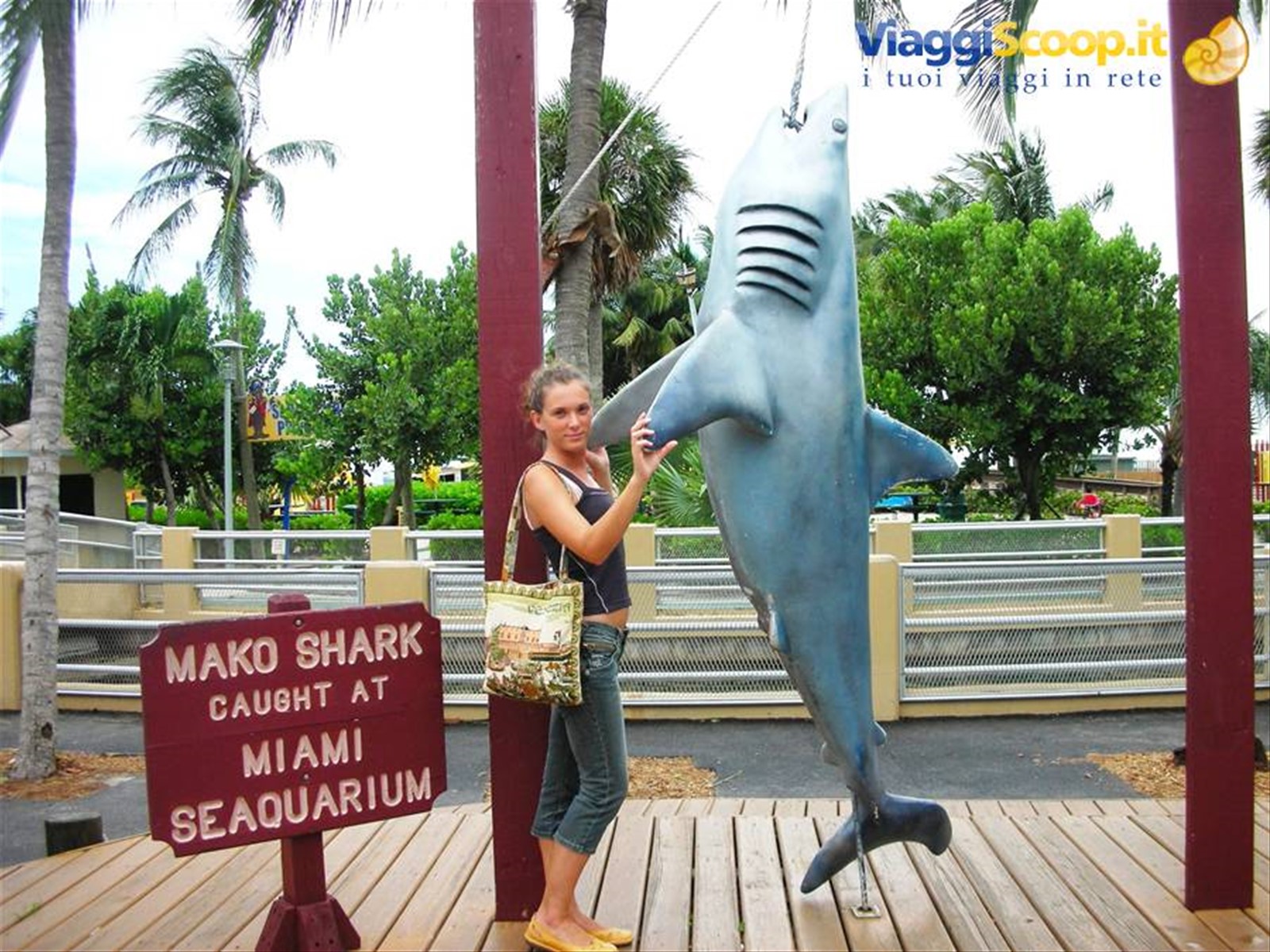 miami seaquarium
