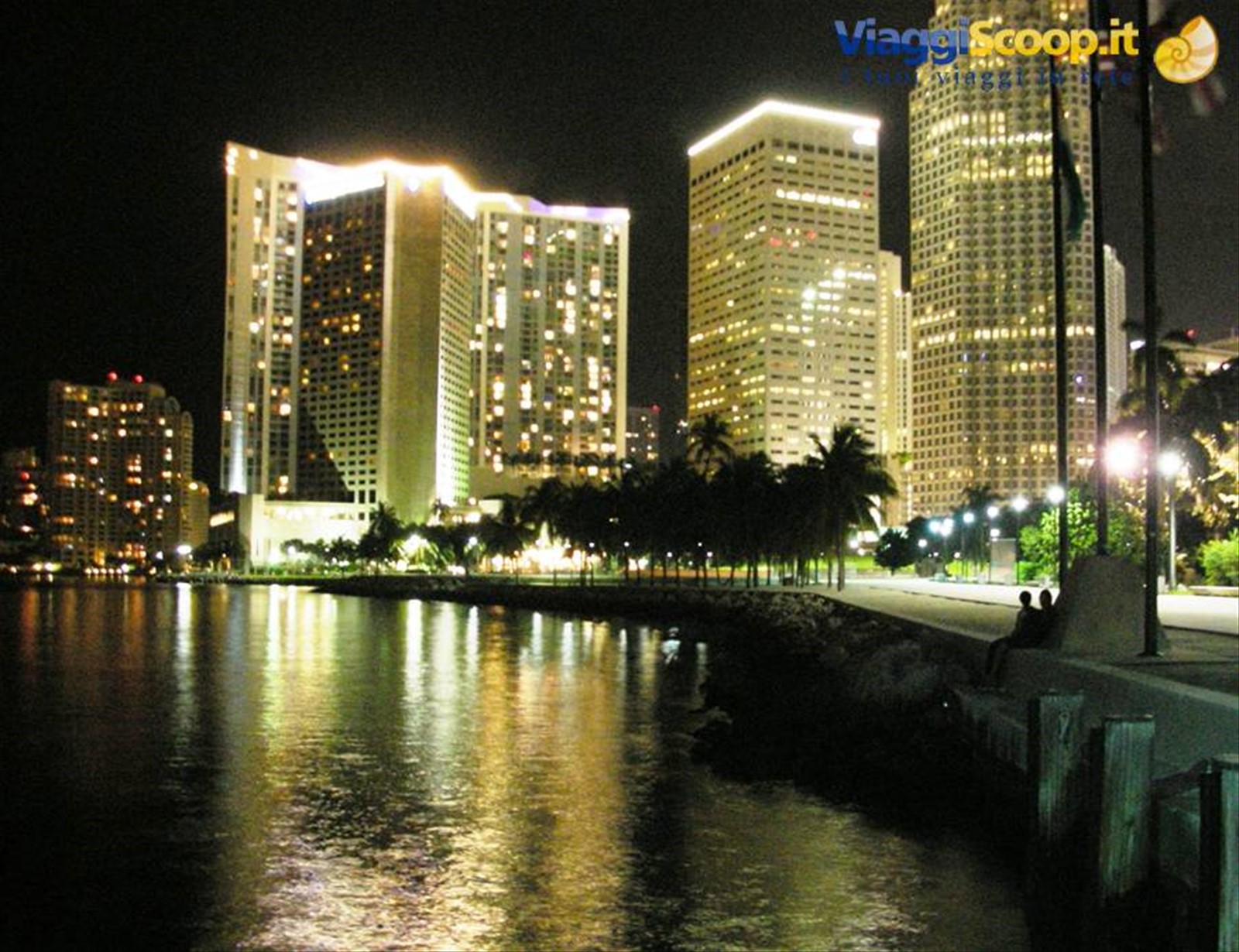 skyline miami di notte