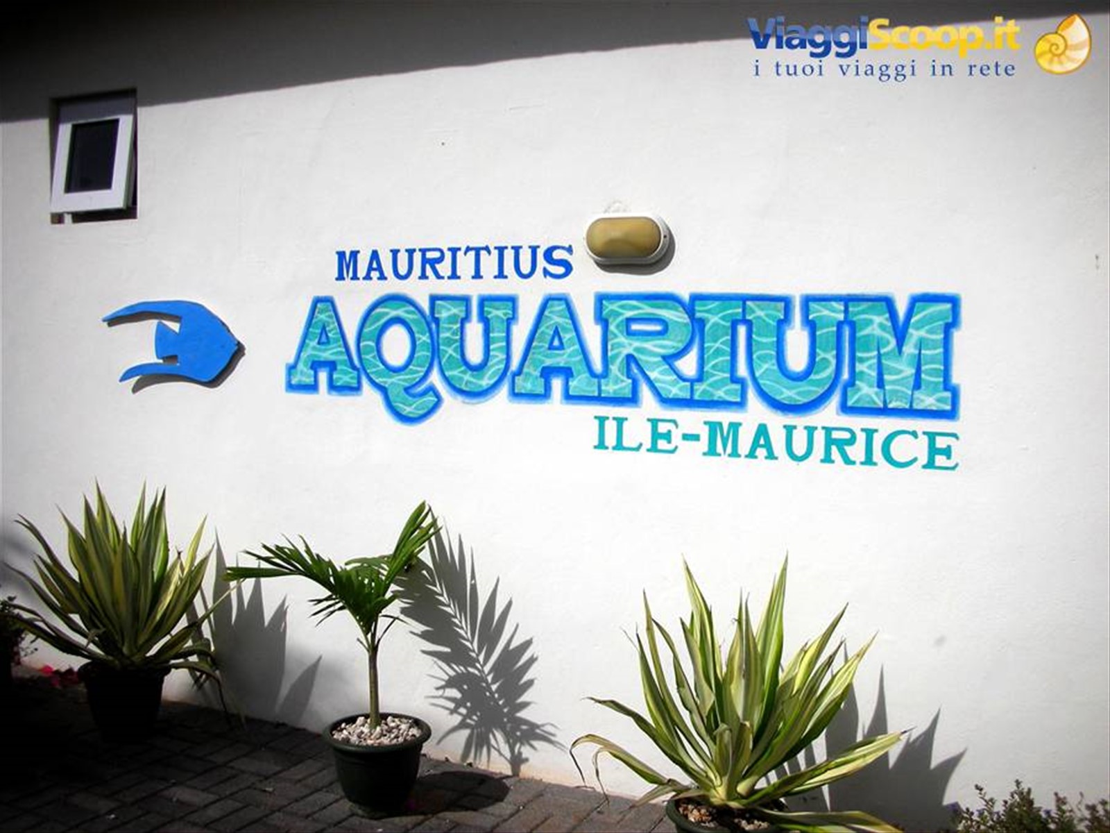 acquario Mauritius