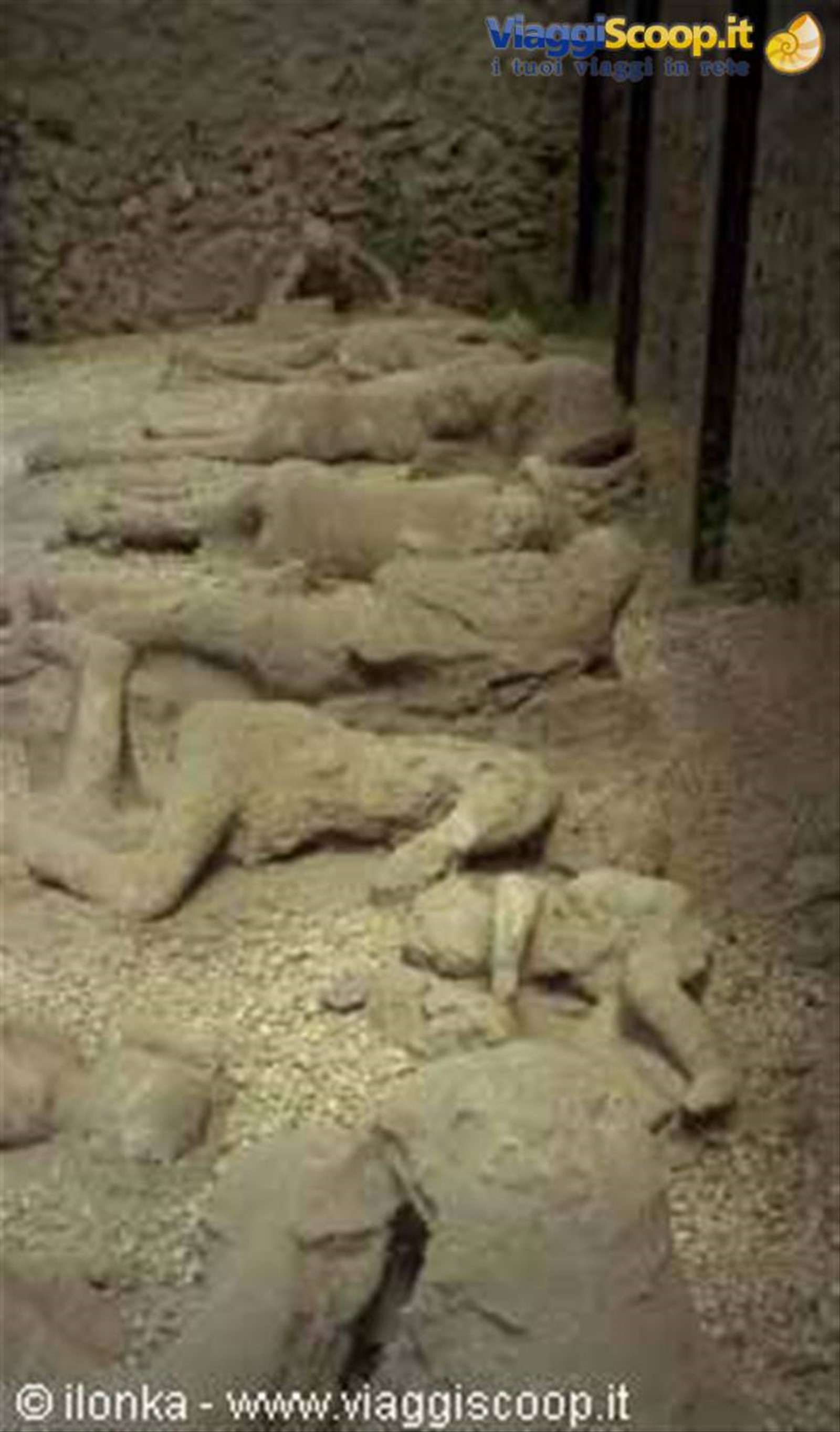 pompei: i resti