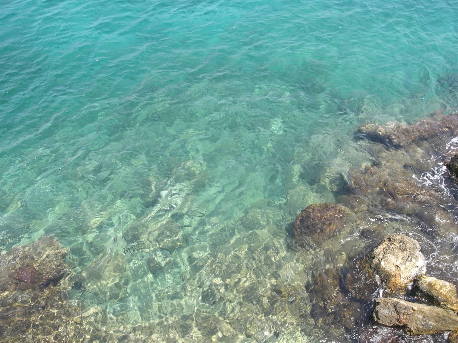 che dire..l'immagine è chiarissima!! come questo mare