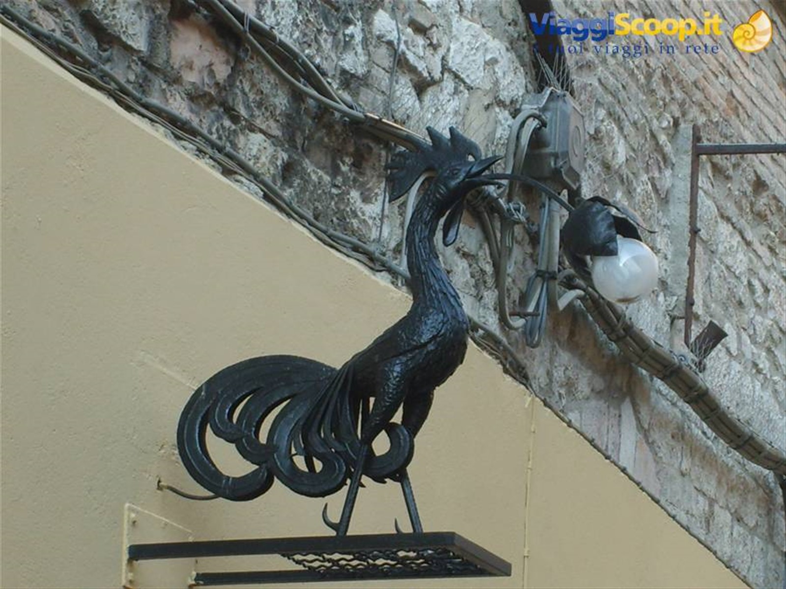 insegna - luminosa - del negozio "il gallo nero"