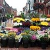 foto viaggio IRLANDA