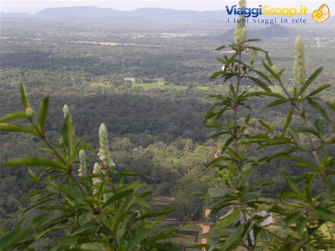 Vista da dall'alto di Sigiriya