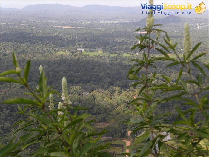 Vista da dall'alto di Sigiriya