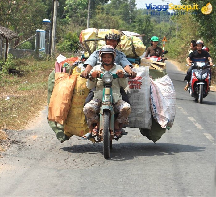 La moto....un bel mezzo di trasporto.....