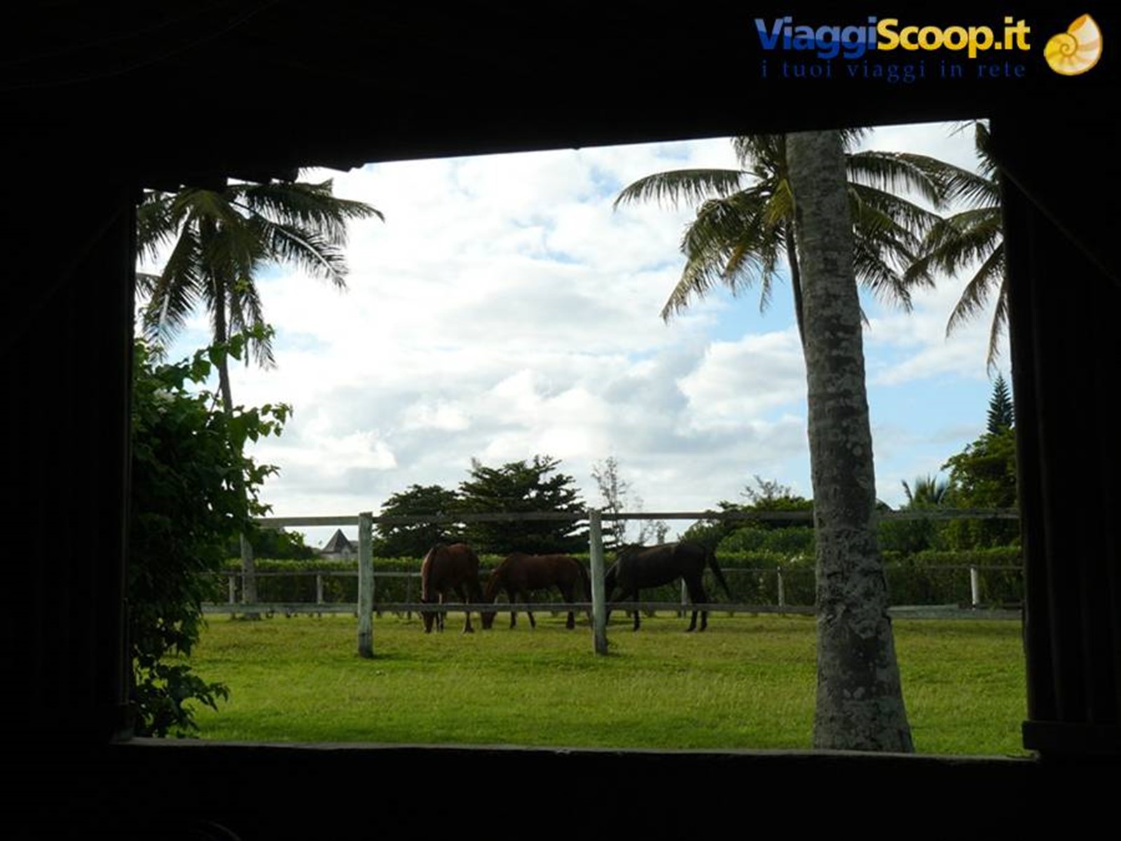 Asso Villa: Colazione con Vista