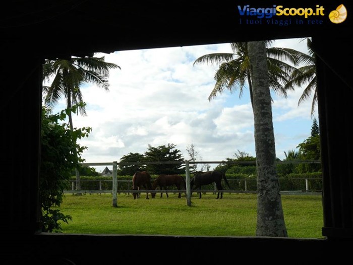 Asso Villa: Colazione con Vista