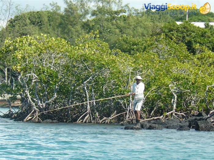 Pesca a Trou d'Eau Douce