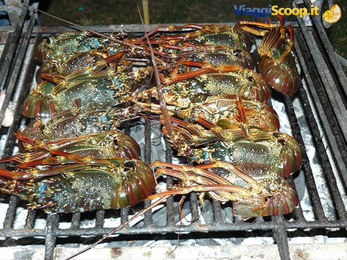Grigliata in spiaggia