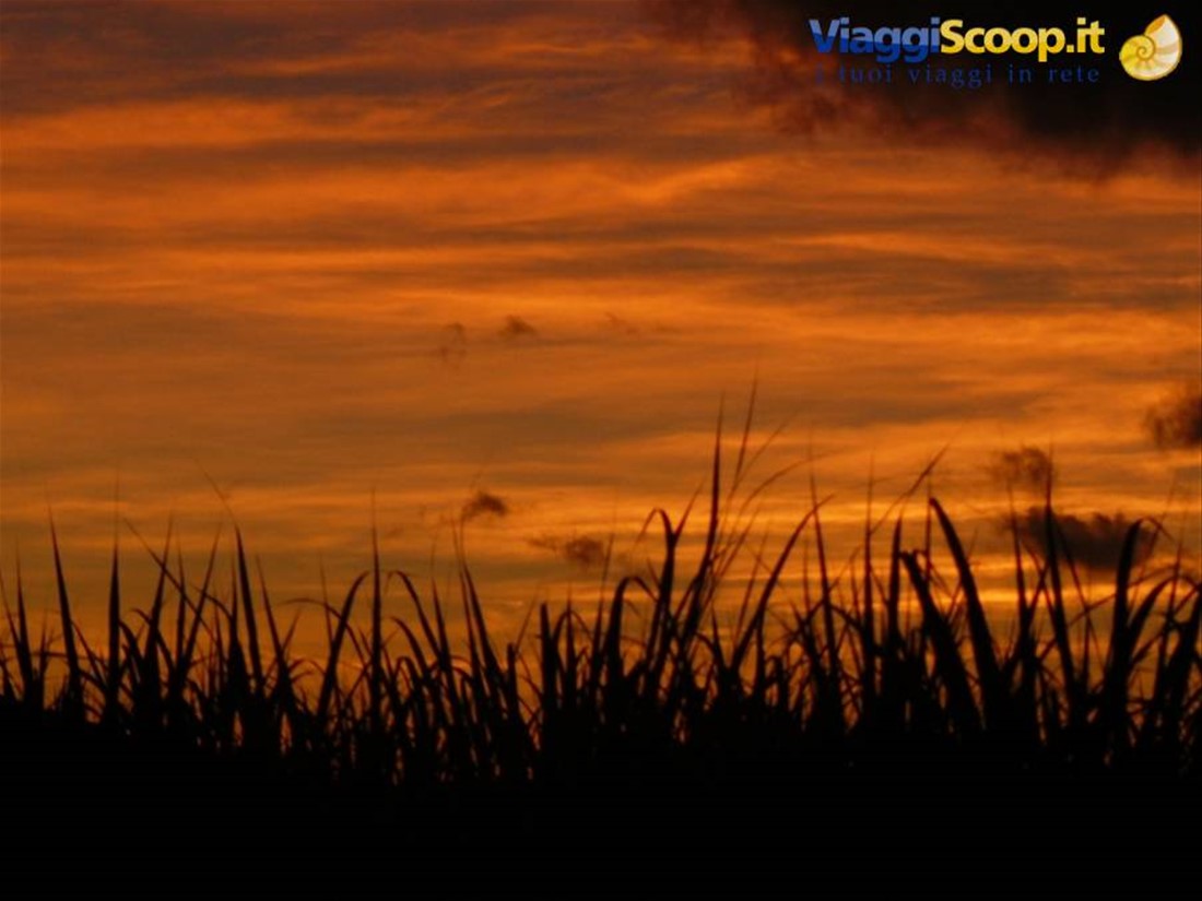 Tramonto su un canneto