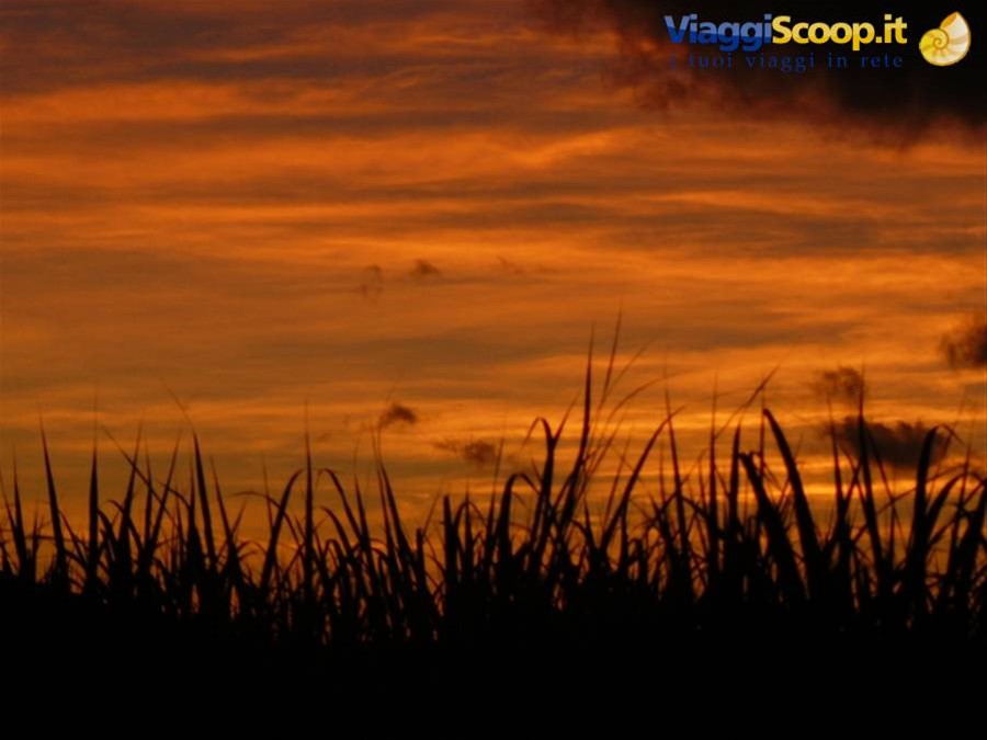 Tramonto su un canneto