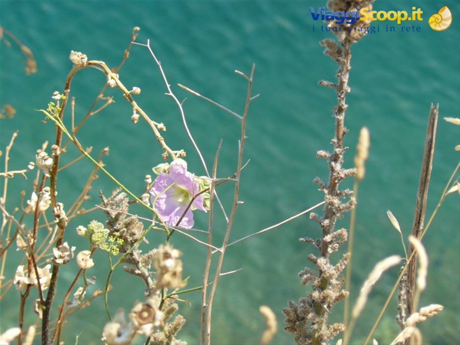 Bocche di Cattaro