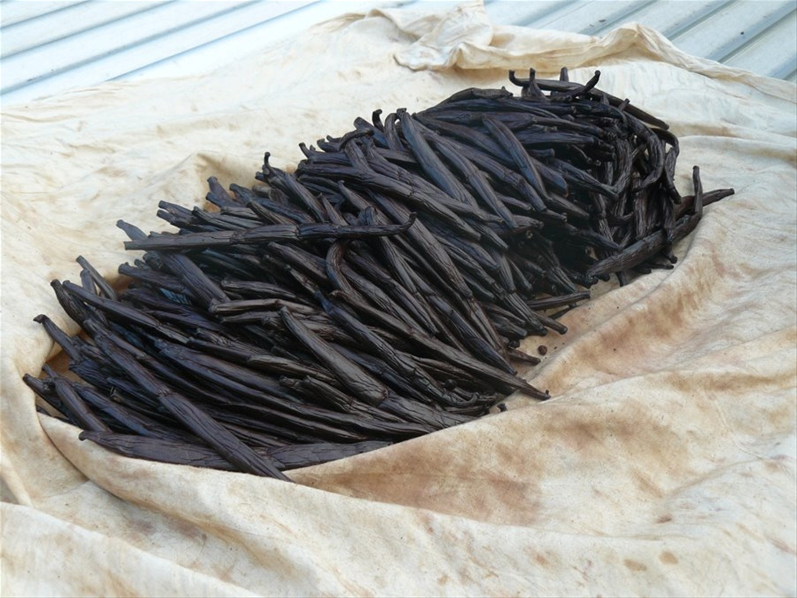 Vaniglieria