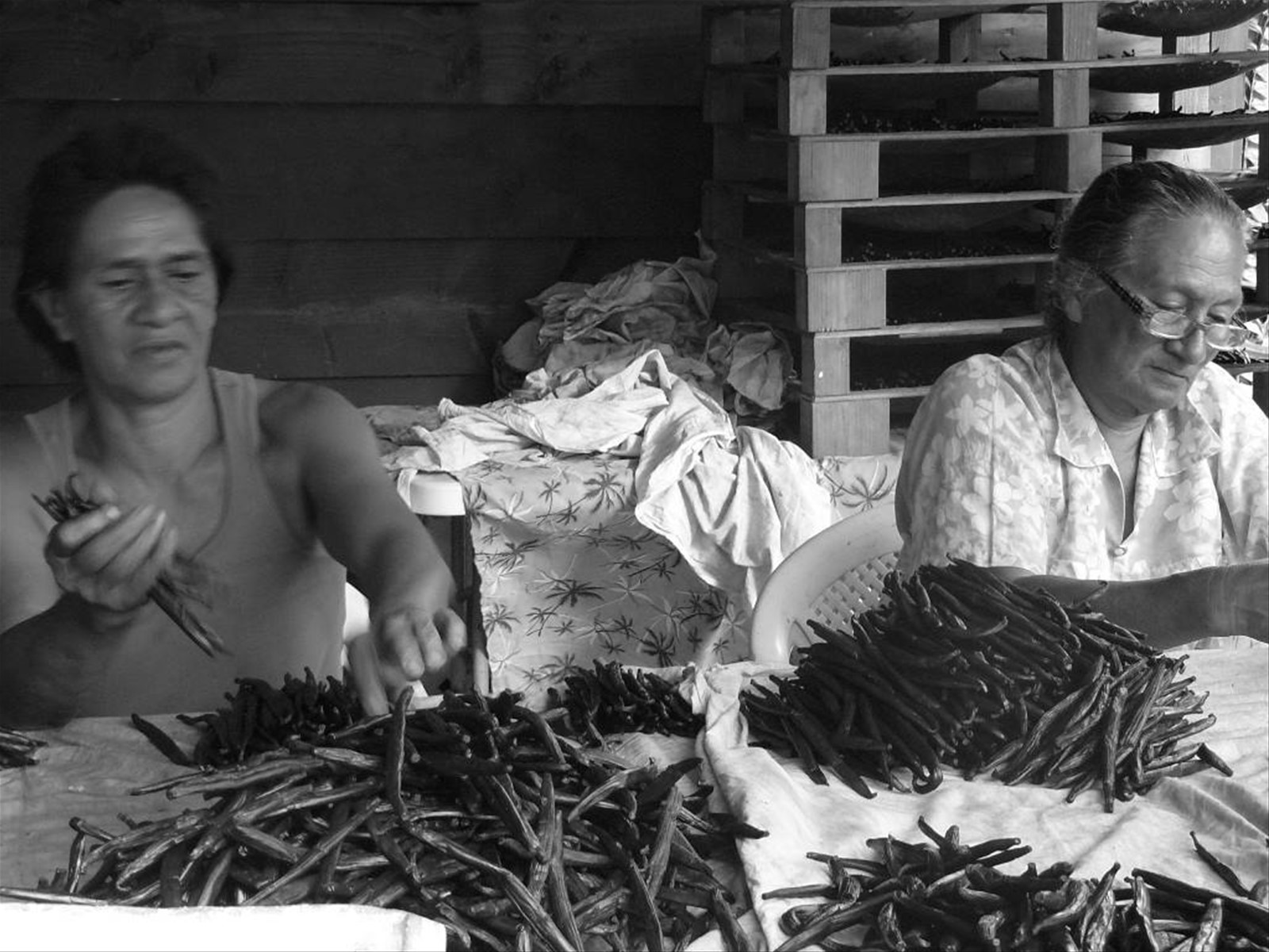 Vaniglieria