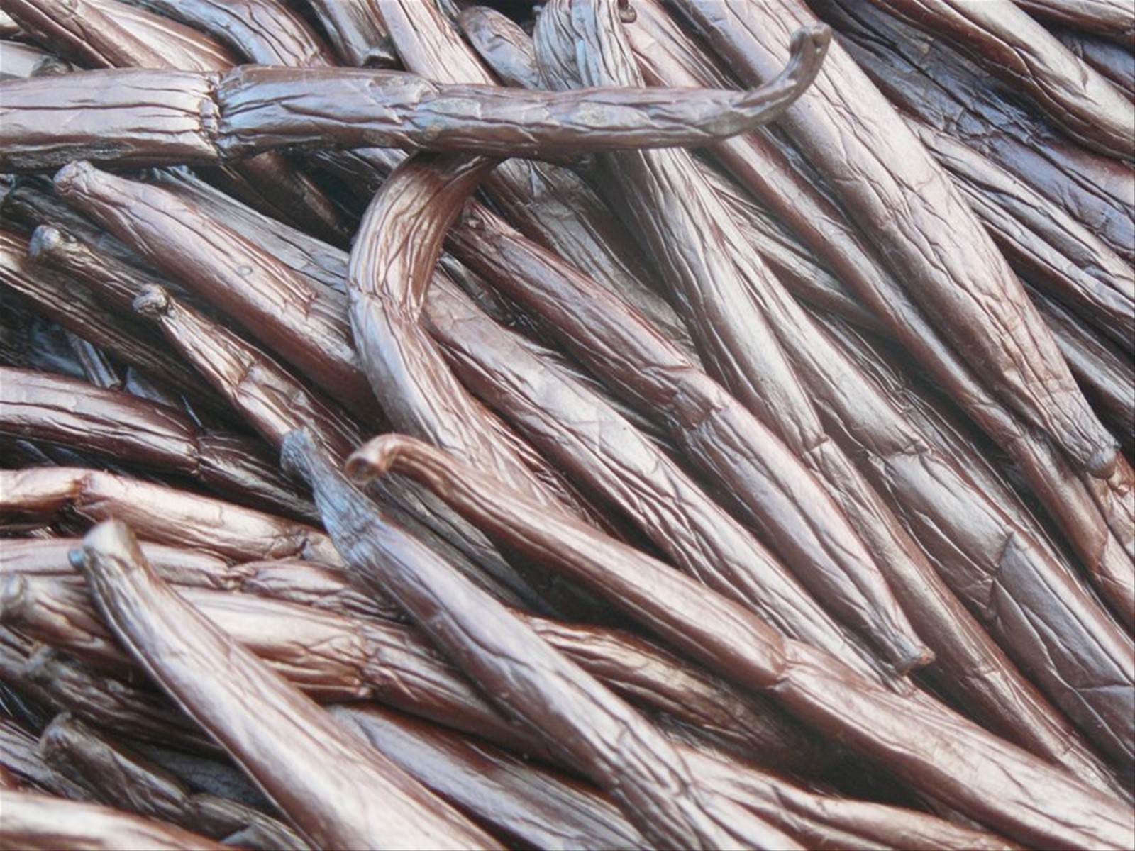 Vaniglieria