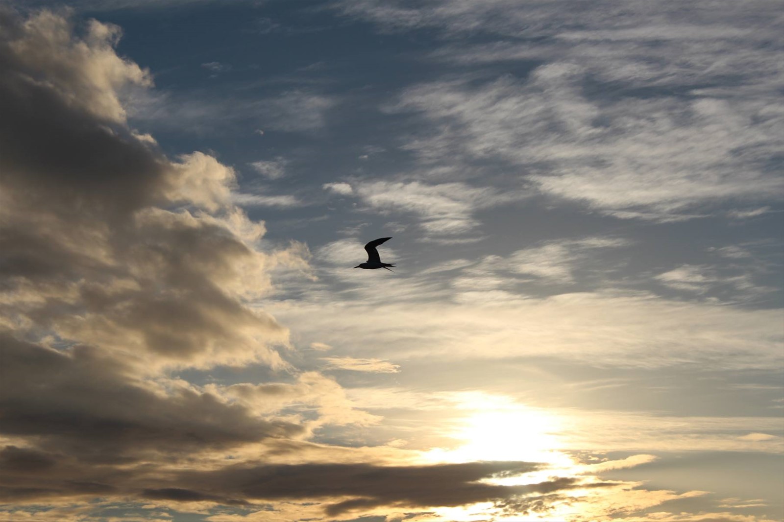 Tramonto sul cielo di Tahaa