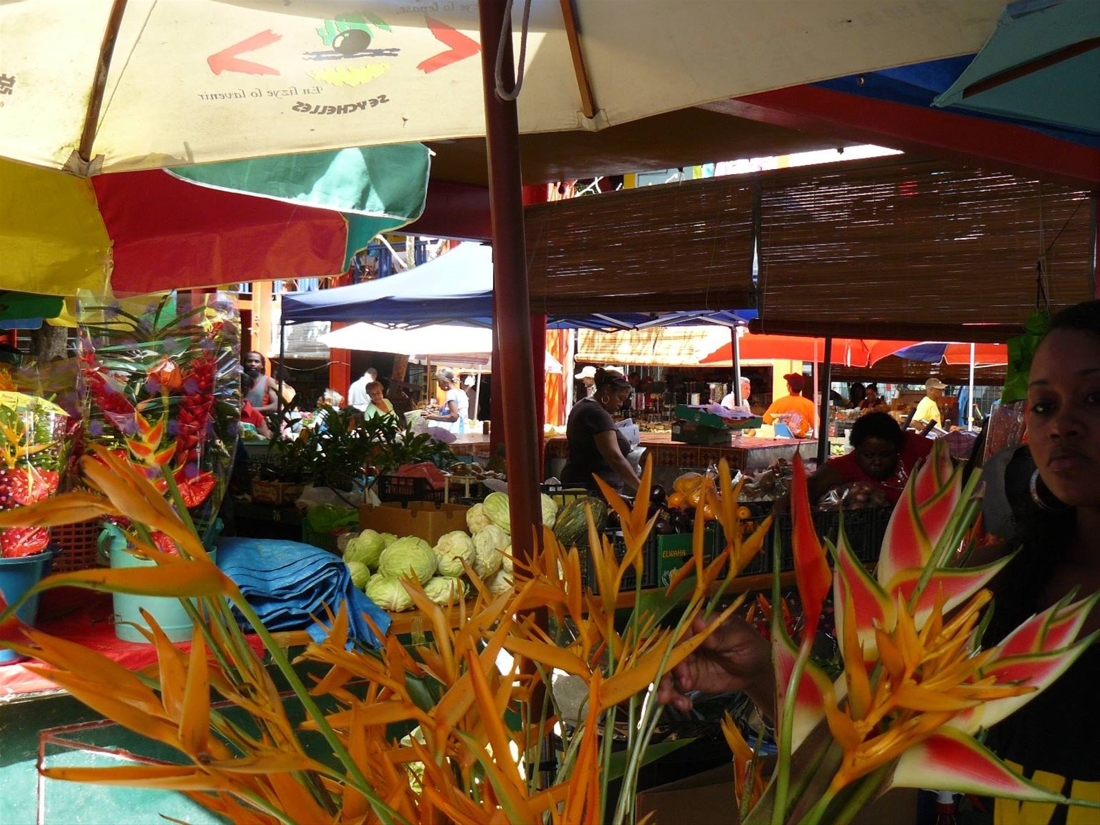 Mercato di Victoria