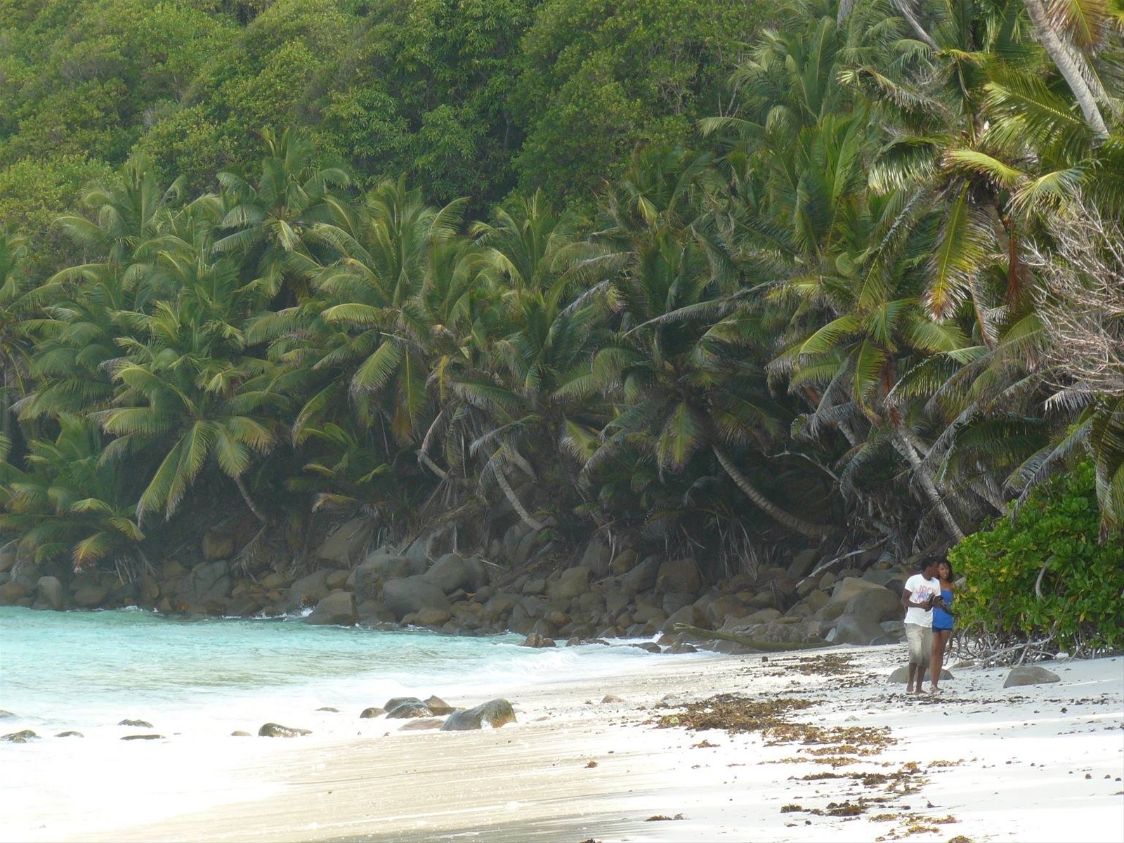 Anse Parnel