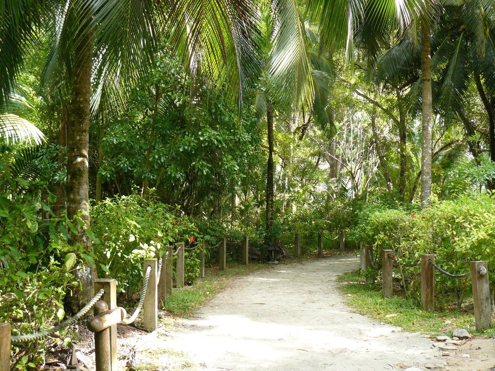 Arrivo ad Anse Intendance