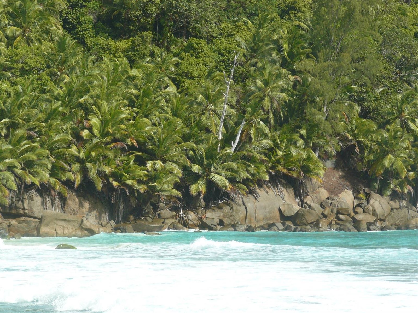 Anse Intendance