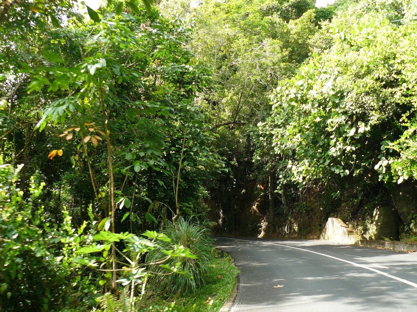 Sulla strada per Port Glaude