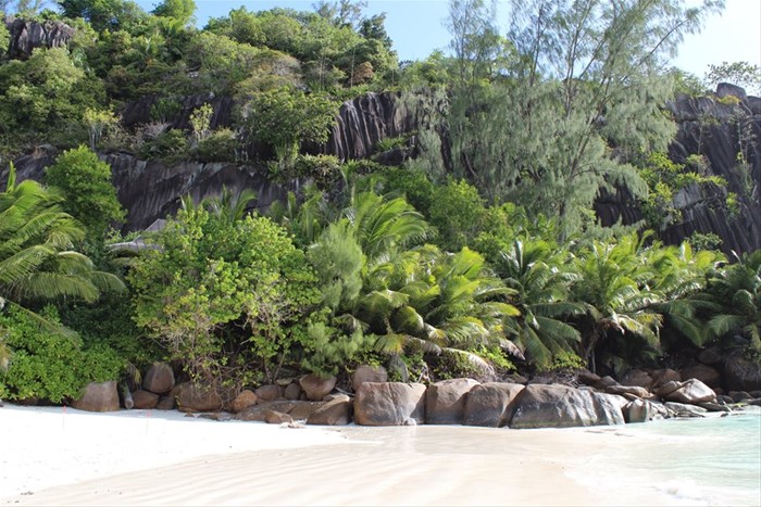 Petite Anse