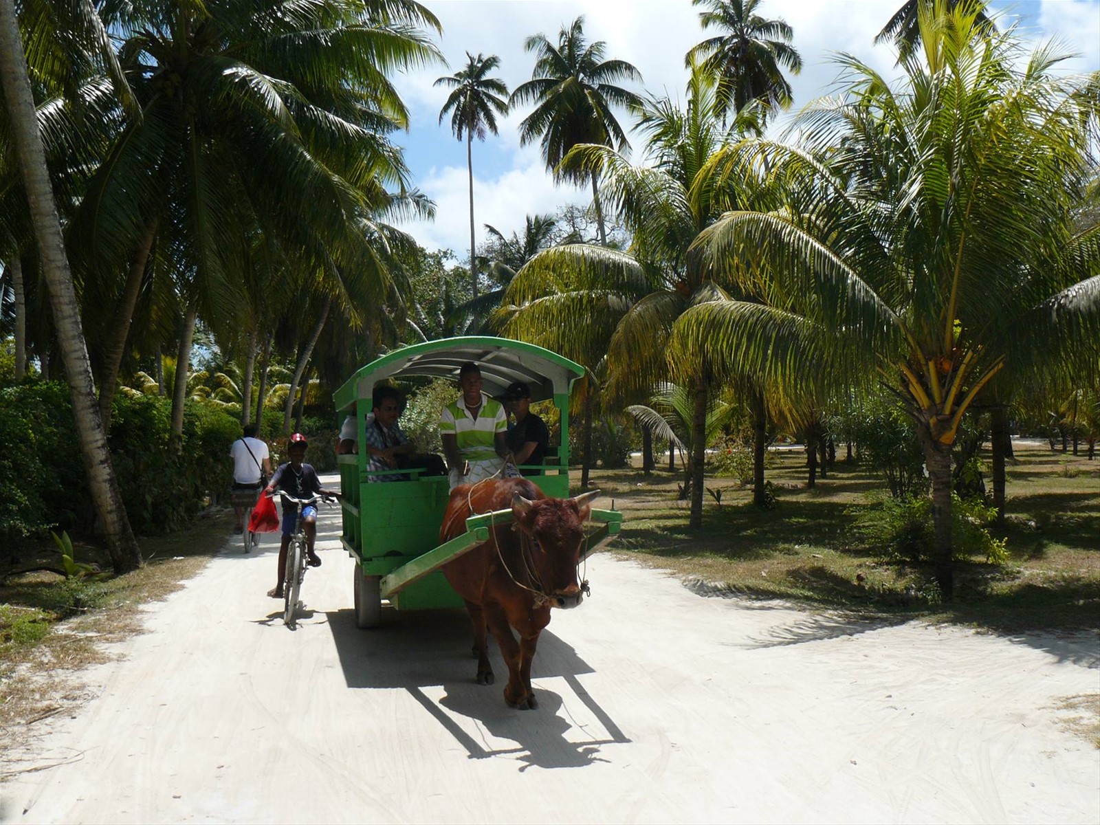 Sulle strade dell'Isola