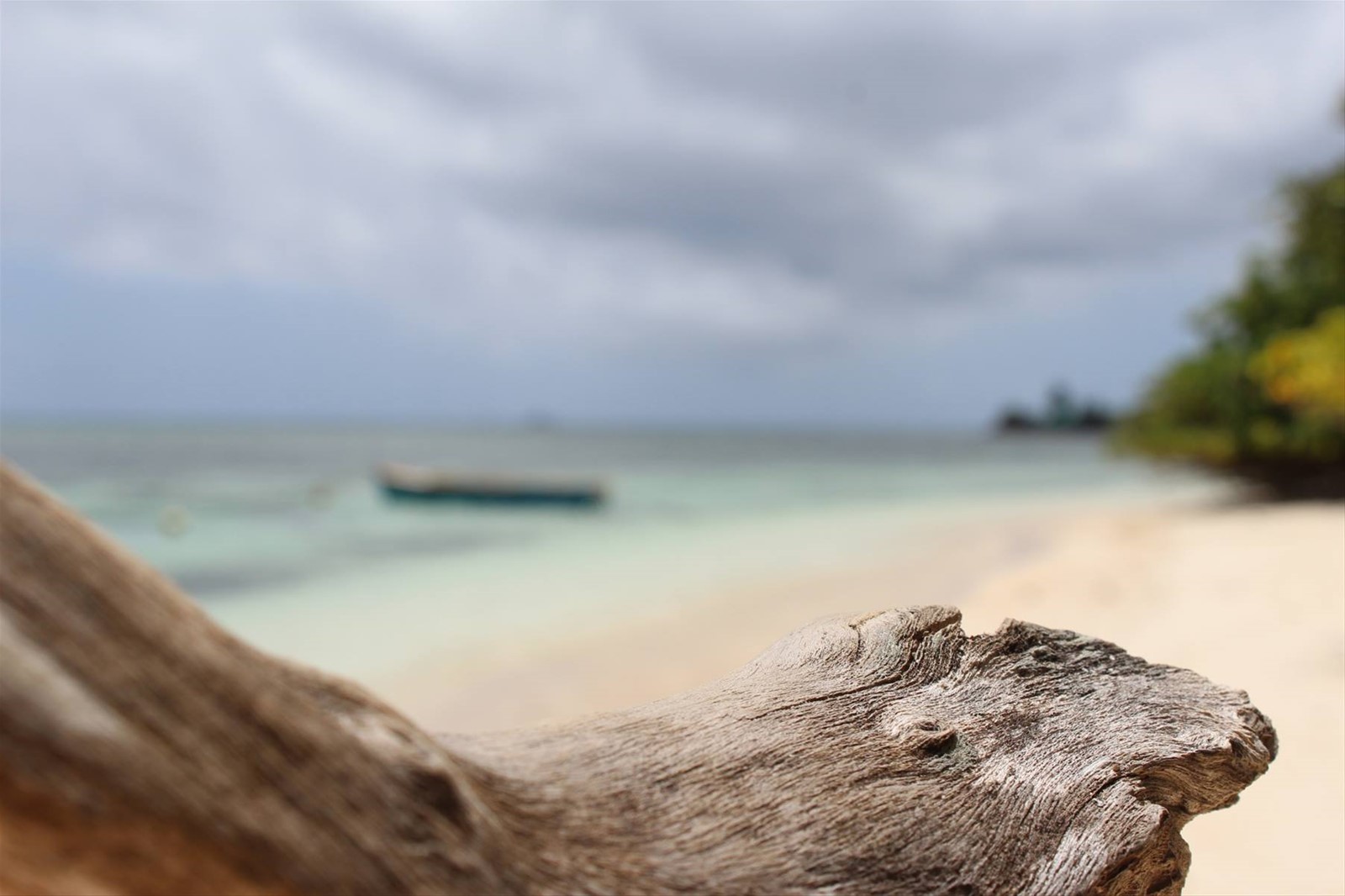 Anse La Reunion