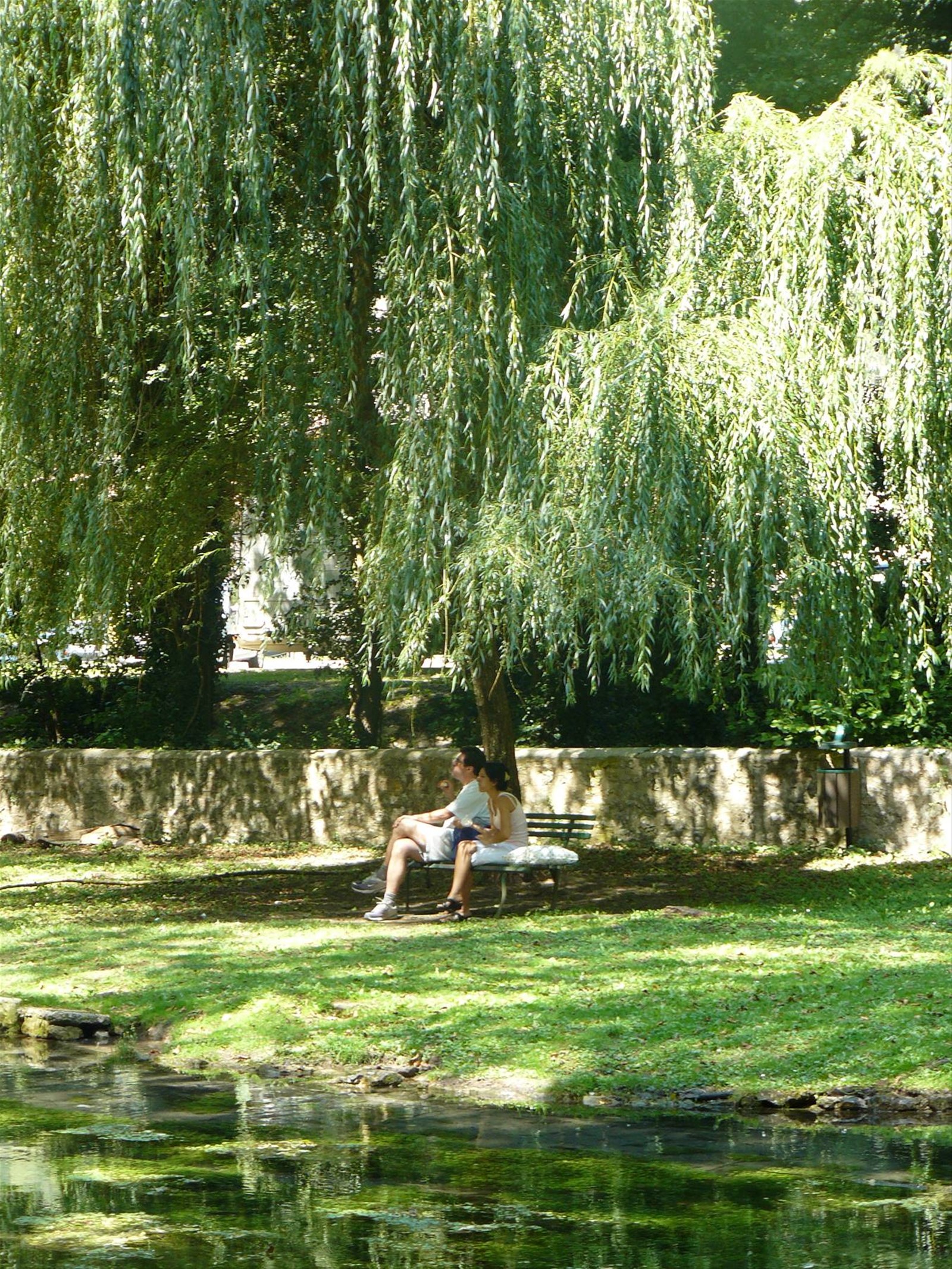 Scheggino, Fonti di Valcasana