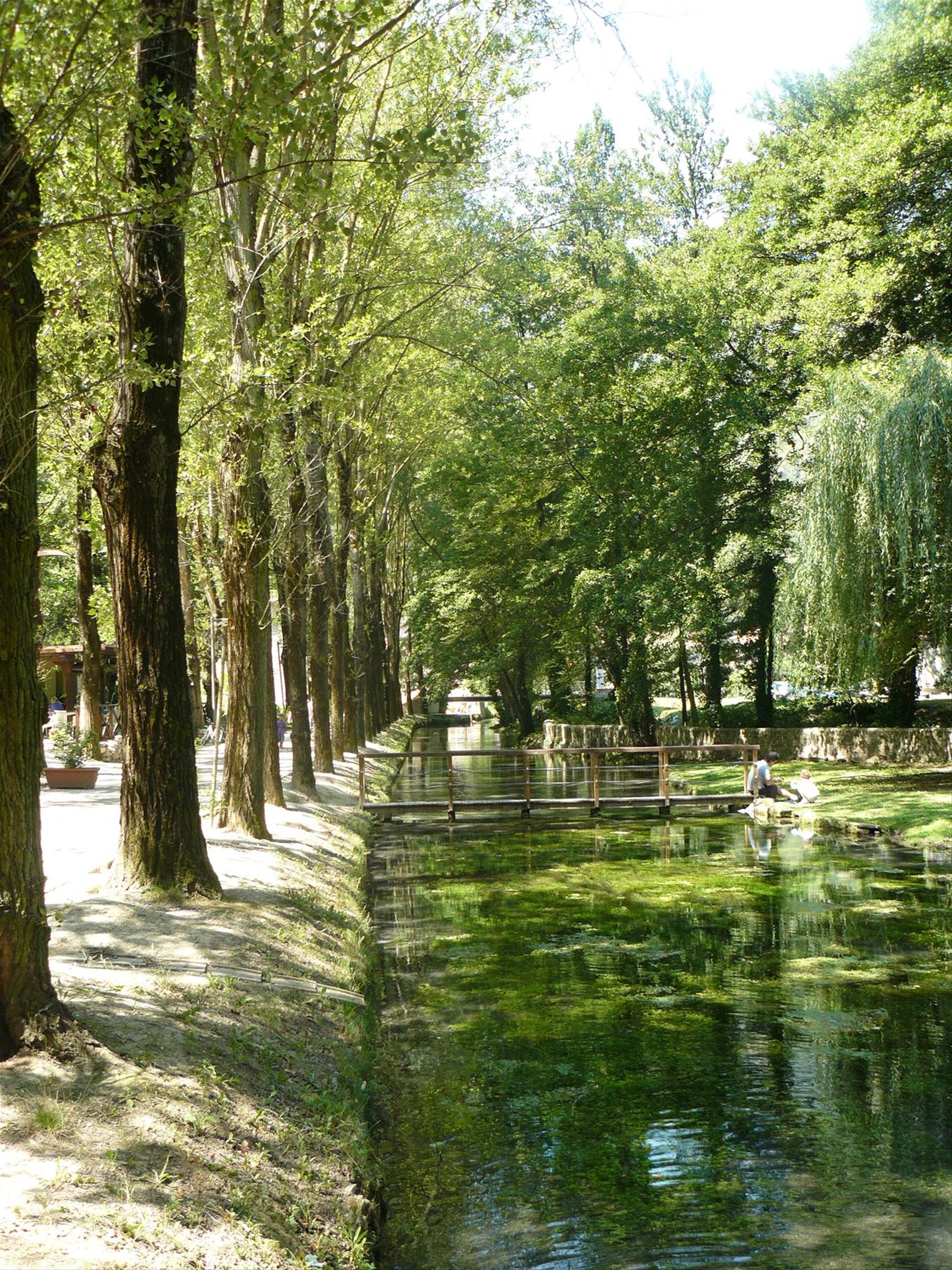 Scheggino, Fonti di valcasana