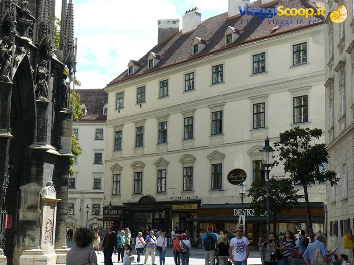 Vienna 
