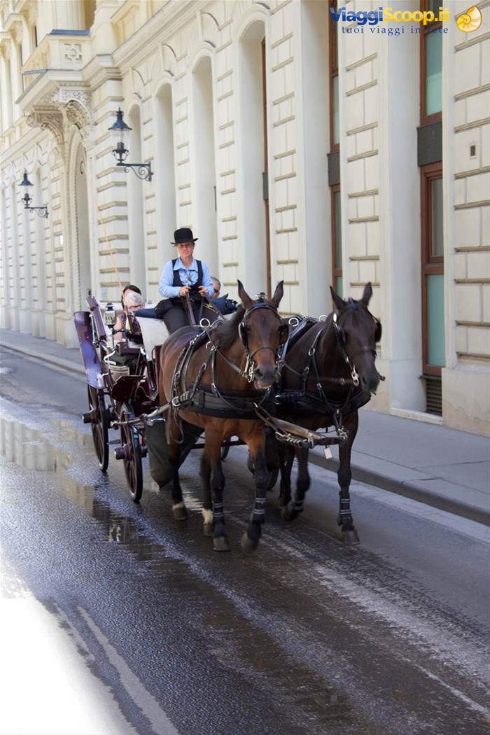 Vienna 