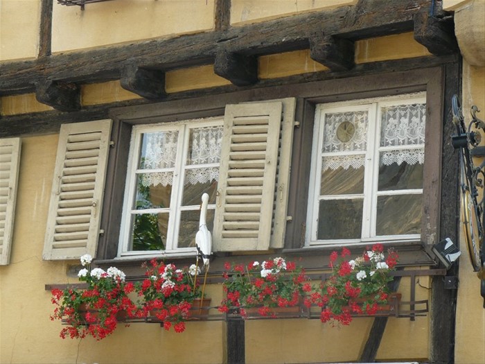Colmar