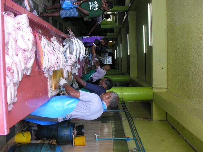Fish Market