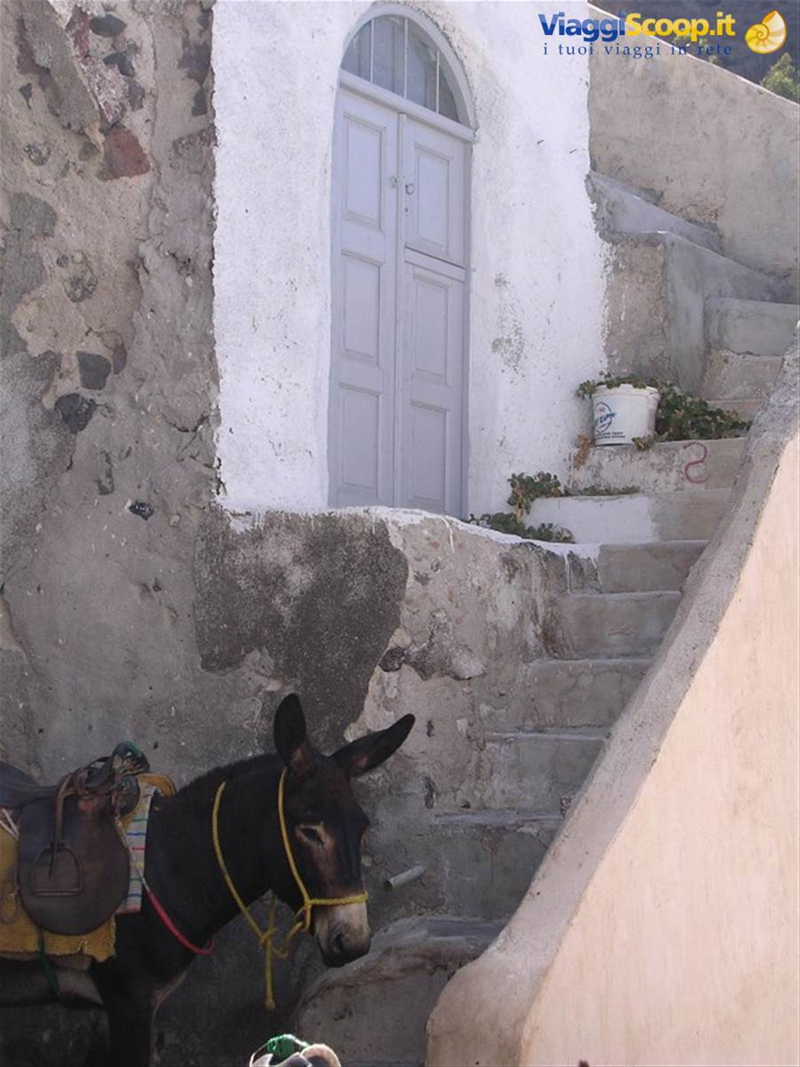 Santorini - Al vecchio porto..