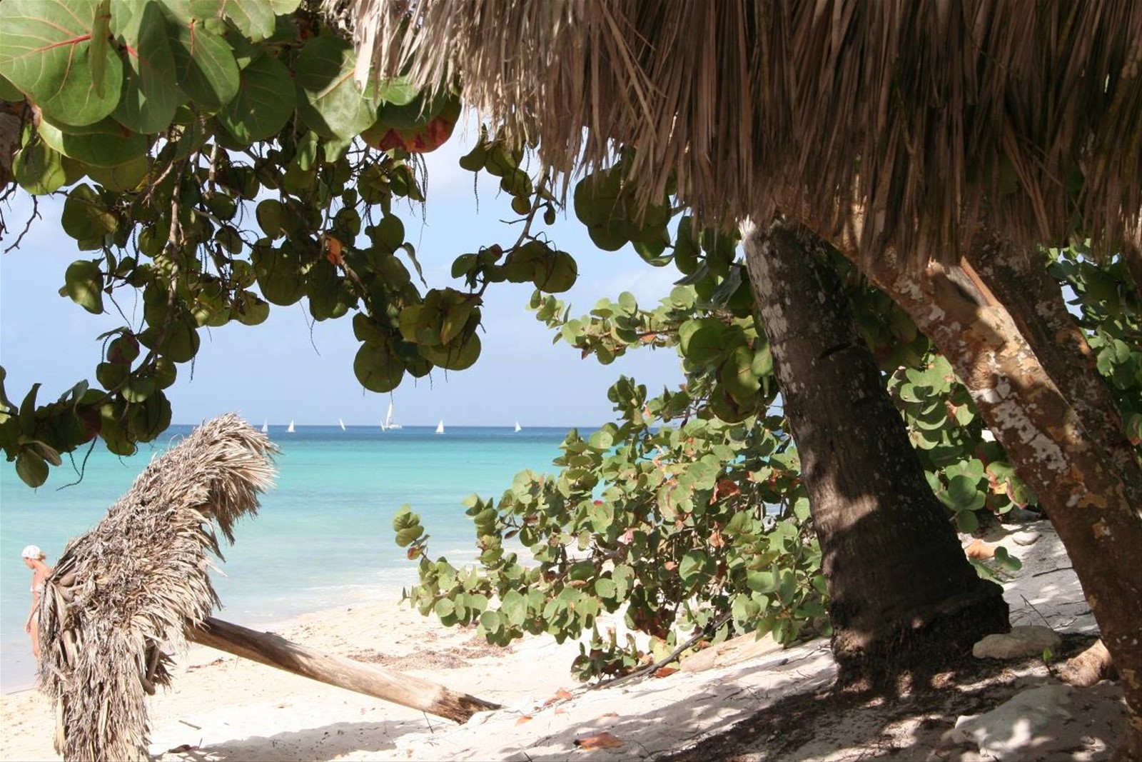 Foto di viaggio in REPUBBLICA DOMINICANA