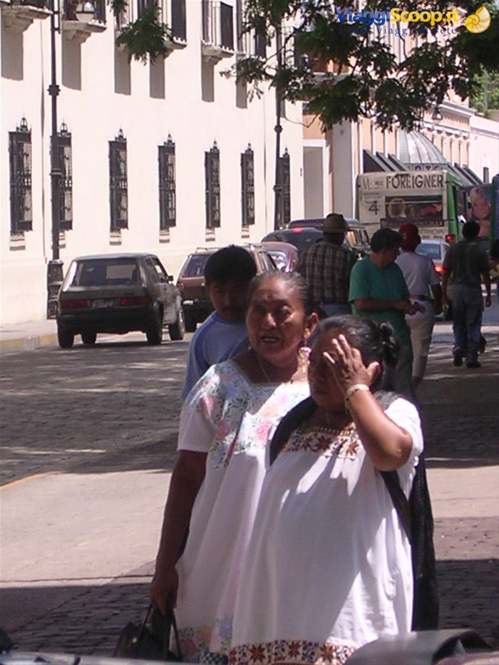 Donne Maya