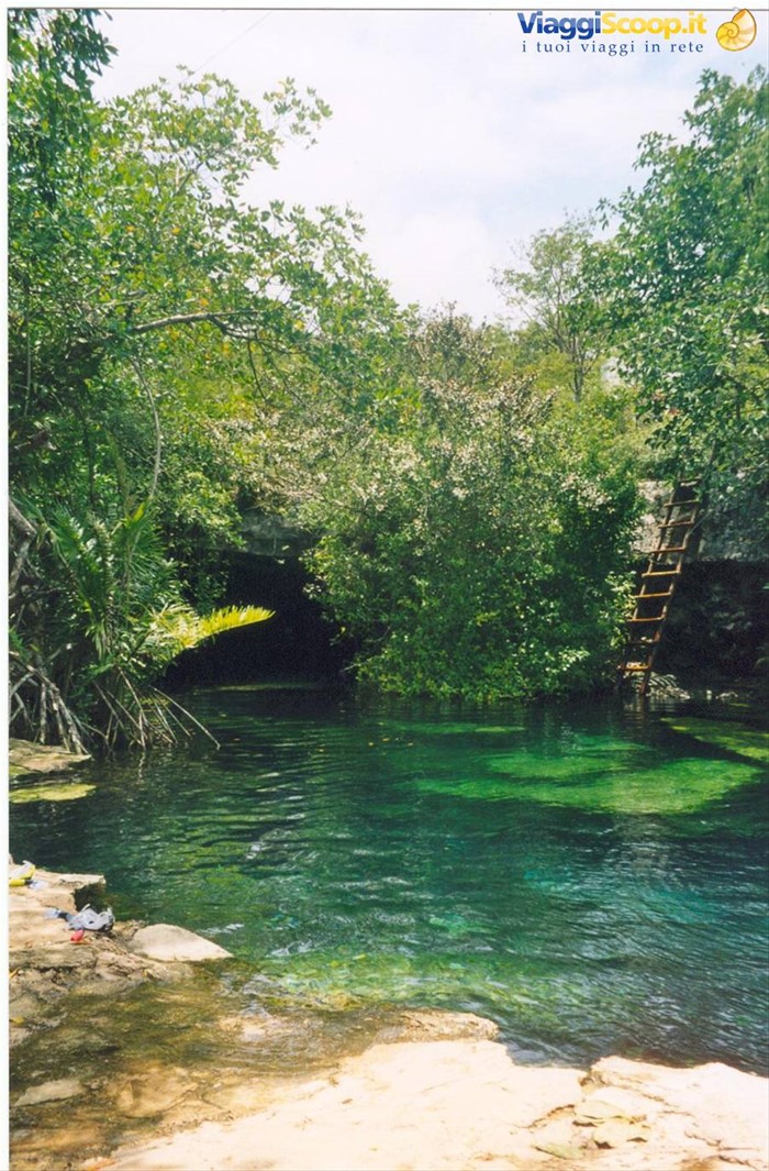 Cenotes nella foresta
