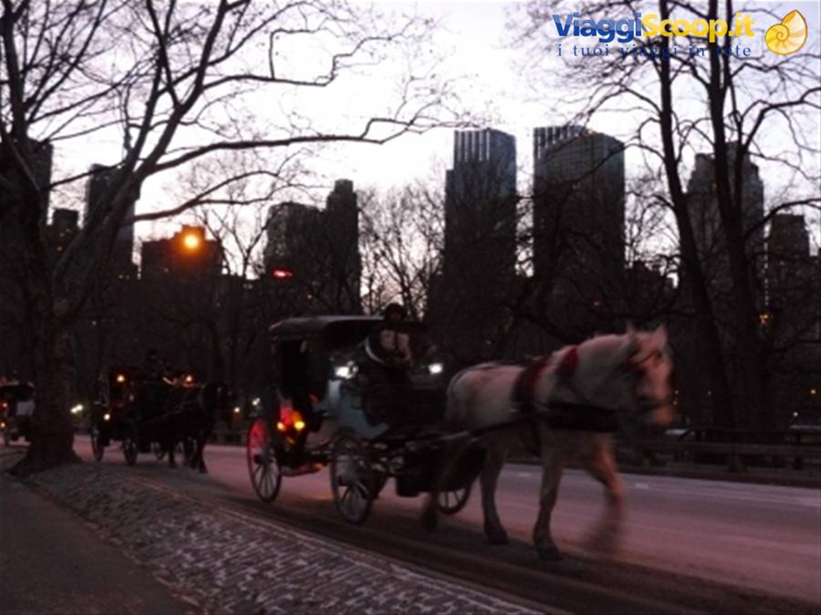 Central Park