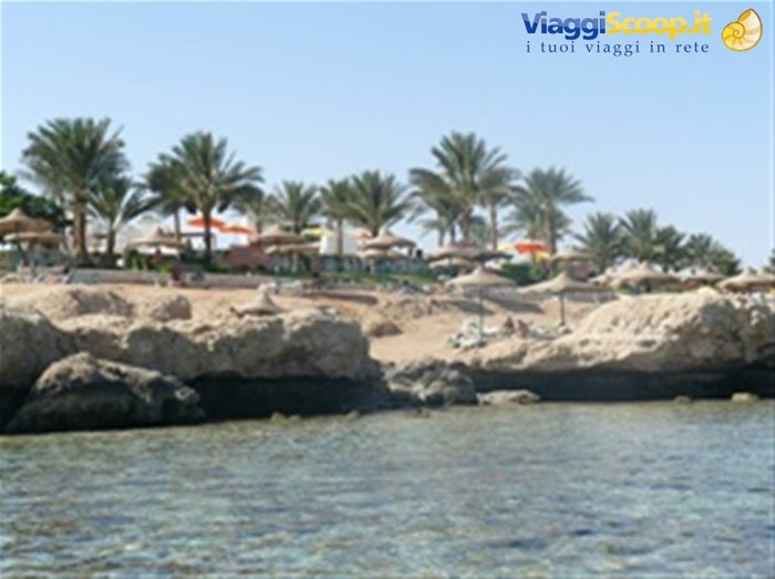 Sharm Club