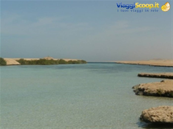 Ras Mohammed - Canale delle mangrovie